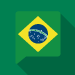 ブラジル人の経営管理ビザ