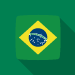 ブラジル人の興行ビザ